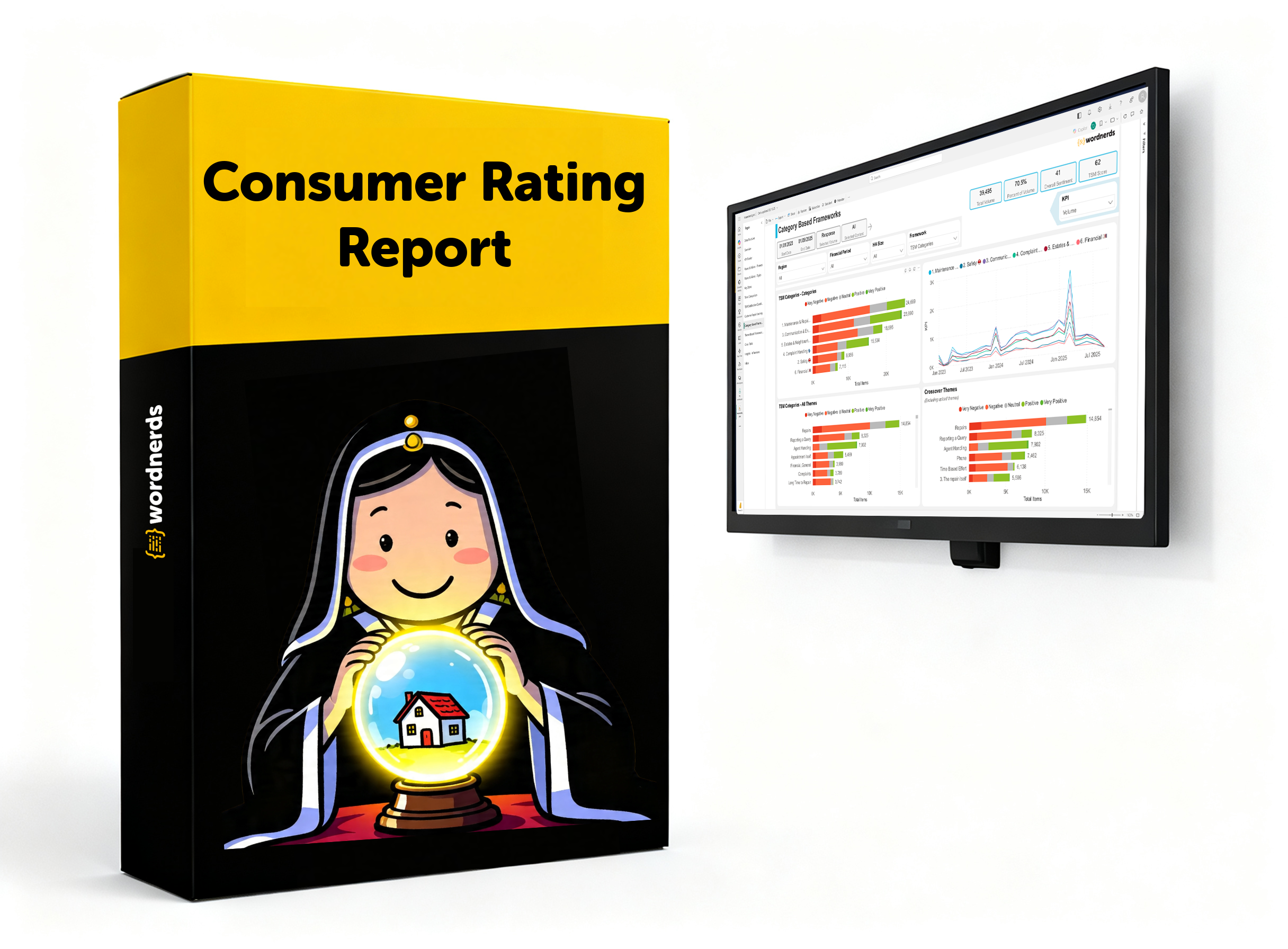 Consumer Rating Report